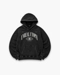 Beyond the Ordinary Hoodie